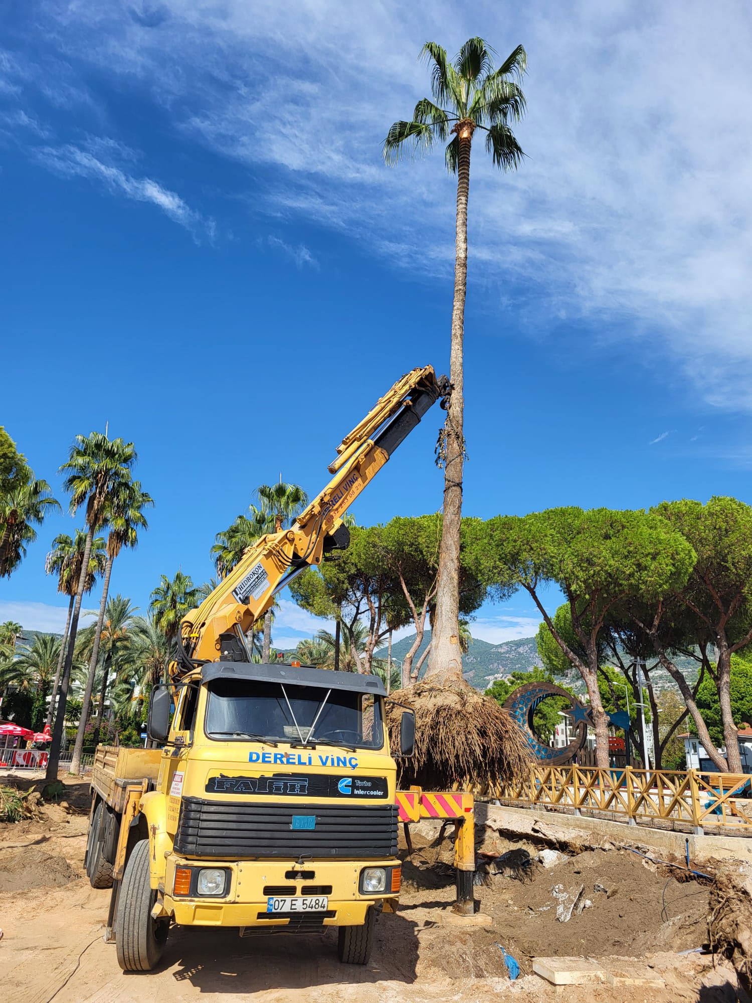 Dereli Vinç Forklift Oto Kurtarma Alanya