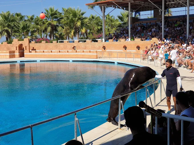 Sealanya Dolphinpark